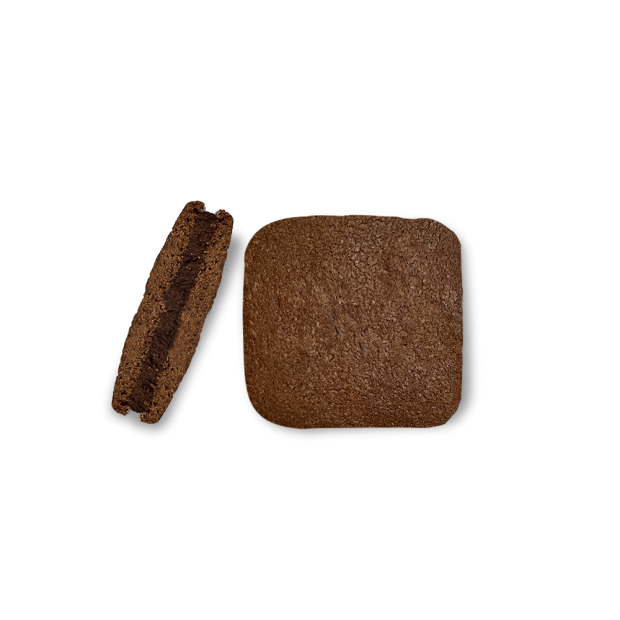 濃味可可三明治餅去背.png