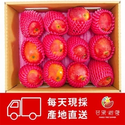 盧家監製-芒果樹夏_620_04.jpg 盧家監製-芒果樹夏_620_04.jpg